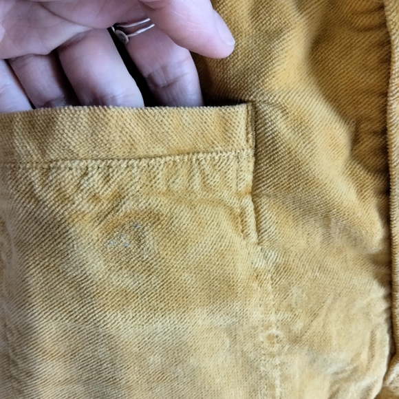 Free people size 0 gold pants - Picture 3 of 10
